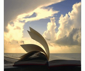 Opinie na&nbsp;temat książek dla DDA