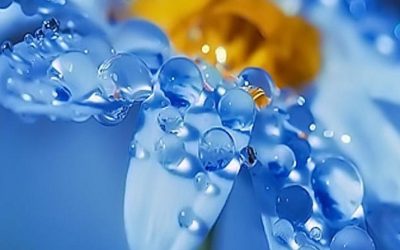 Daj sobie potrzebny czas i&nbsp;uwagę na&nbsp;wprowadzenie każdej konstruktywnej zmiany