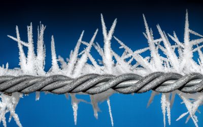 Modele funkcjonowania DDA