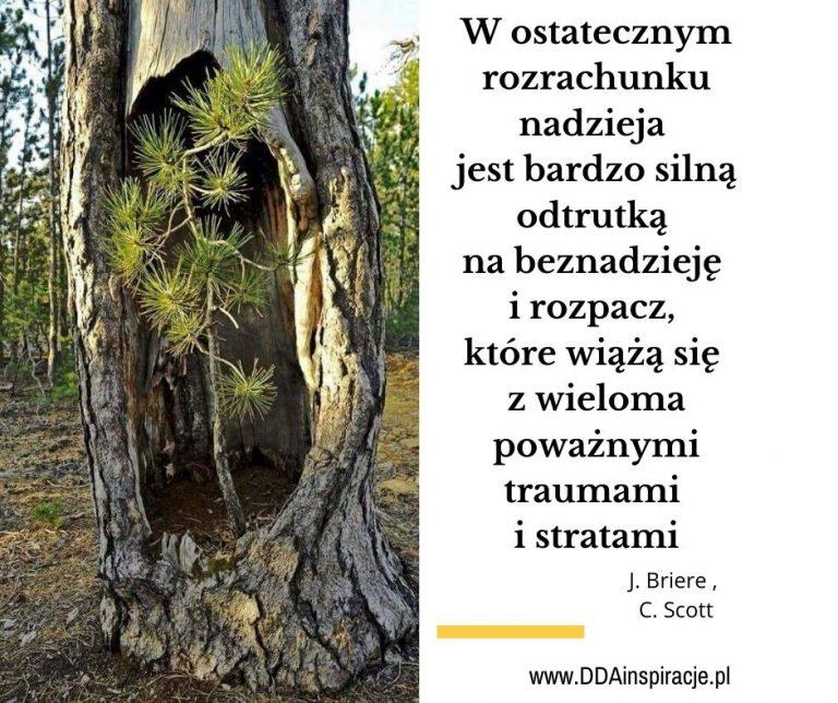 ODZYSKIWANIE NADZIEI – ważny element w leczeniu traumy